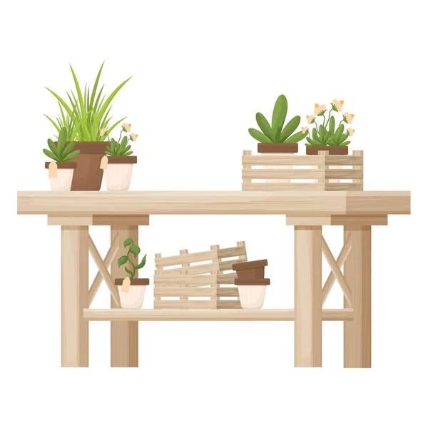 Wooden Table Potted Plants Flowers Florist Shop Orangery Decoration Cartoon — Stock Vector