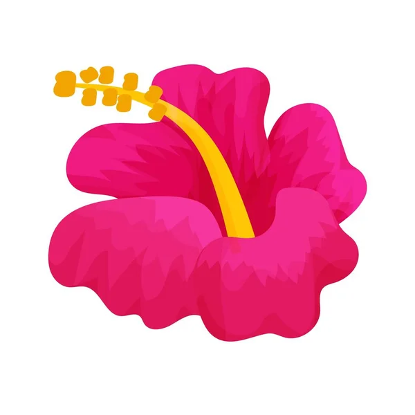 芙蓉头花朵 卡通风格 独立于白色背景 夏威夷 异国情调的装饰 单一的物品 设计元素 矢量说明 — 图库矢量图片