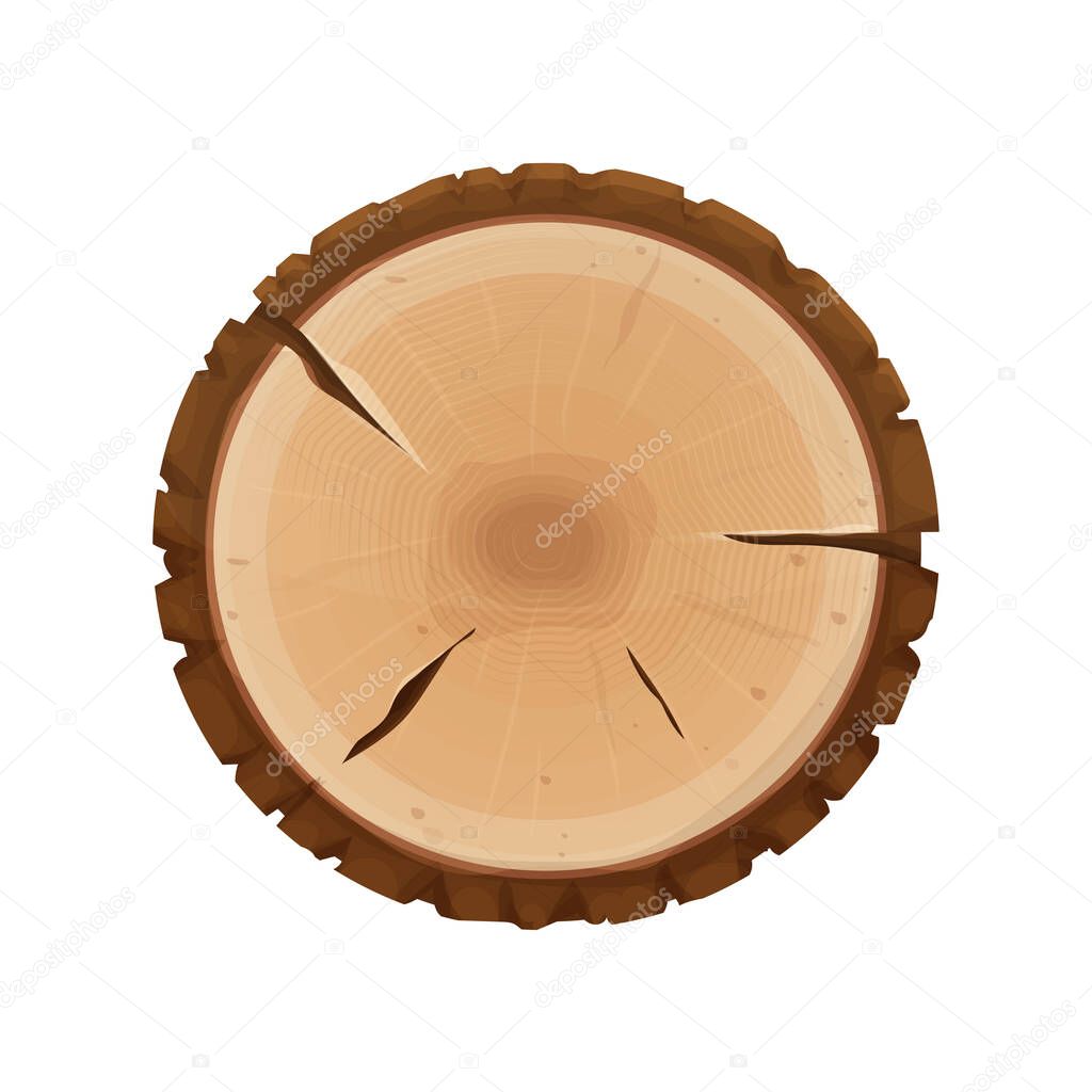 Tree stump, cross section of tree, textured, detailed isolated on white background in flat cartoon style. Cut round trunk with rings.