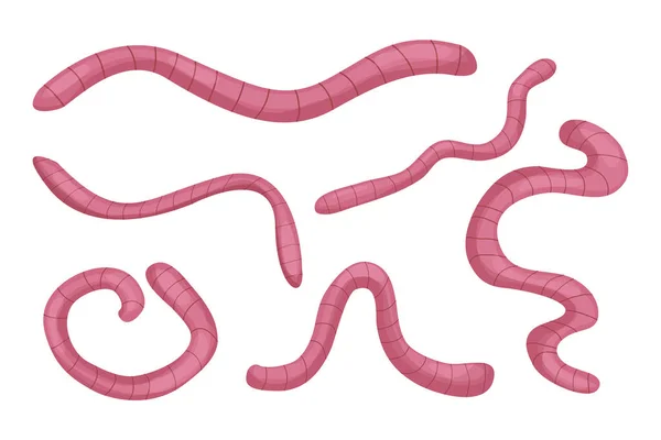 Коллекция земляных червей в карикатурном стиле выделена на белом фоне. Природа, дикая природа, рыбалка, компас — стоковый вектор
