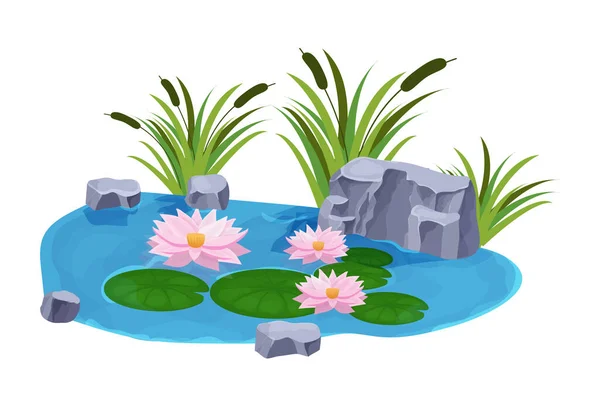 Lago Con Aguas Tranquilas Flores Lirio Junco Piedras Estilo Dibujos — Vector de stock