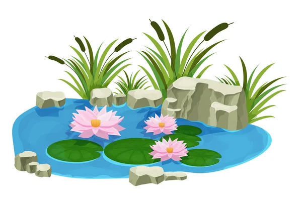 Lago con aguas tranquilas, flores de lirio, junco y piedras en estilo de dibujos animados aislados sobre fondo blanco. Estanque natural al aire libre. — Vector de stock