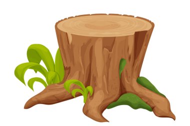 Tree stump, old trunk with grass and moss in cartoon style isolated on white background. Forest decoration, ui asset, detailed and textured object. Vector illustration clipart