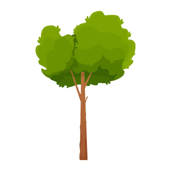 Wald Comic-Baum, detailliert und strukturiert im Cartoon-Stil isoliert auf weißem Hintergrund. Hoch hinaus mit Stamm und Laub. — Stockvektor