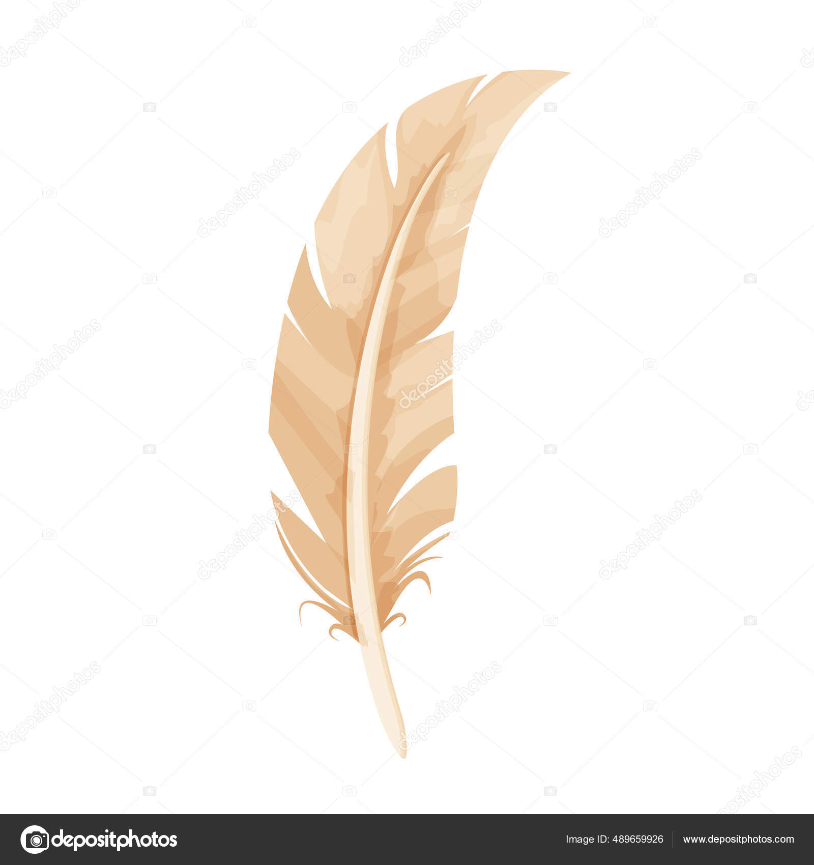 Pluma de pájaro, antigua pluma en estilo de dibujos animados aislado sobre  fondo blanco. Herramienta de escritura, equipo. Elemento decorativo. Vector  de stock #489659926 de ©sombrecanari, image size:1600x1700
