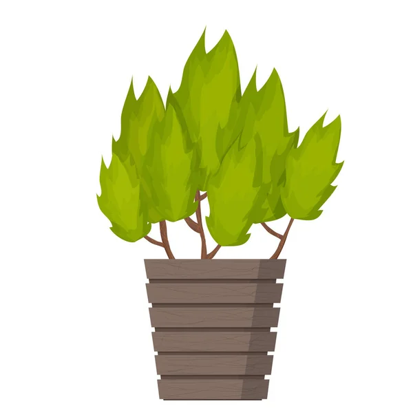 Planta de casa en maceta en estilo de dibujos animados, objeto de decoración de jardín aislado sobre fondo blanco. Árbol, arbusto decoración interior. — Vector de stock