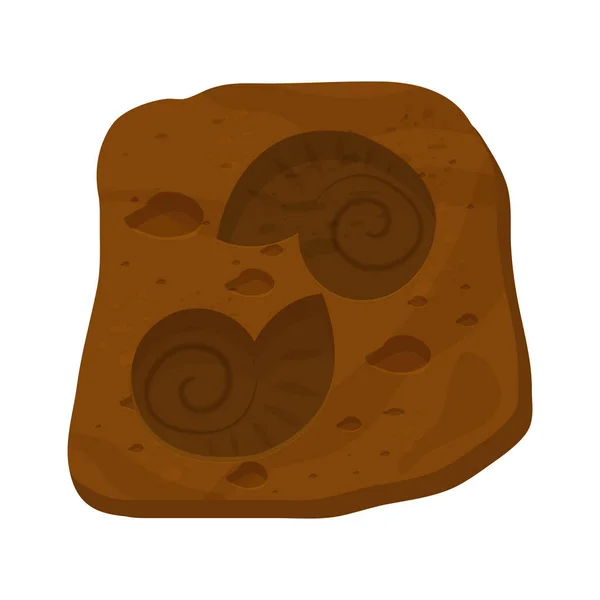 Parmi les coquillages fossiles, créature préhistorique en style dessin animé isolé sur fond blanc. Escargot spirale scientifique. — Image vectorielle