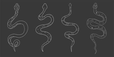 Göksel gümüş kundalini yılan sihirli çizgi dövmesi seti. Ay yıldızlı Boho mistik yılanı. Siyah yılan silueti. Ruhsal uyanışın, canlılığın ve iç huzurun sembolü. Vektör illüstrasyonu