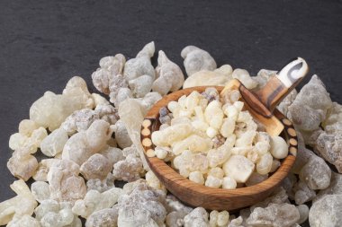 Frankincense aromatic resin clipart