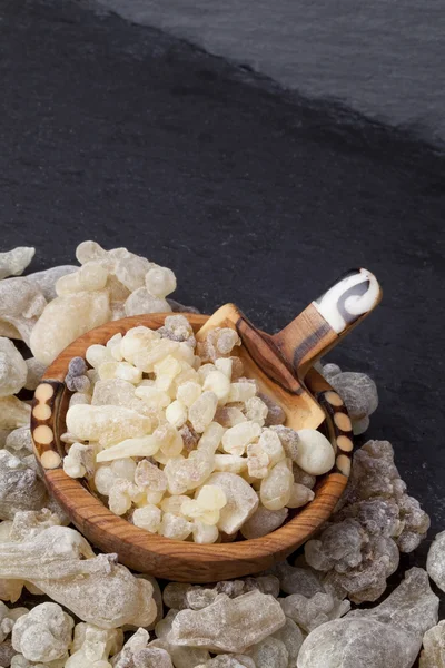 Frankincense aromatic resin — Stock Photo, Image