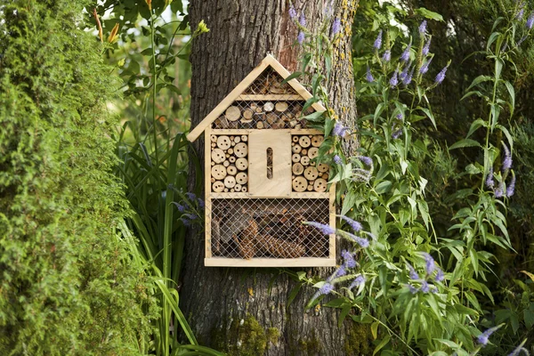 Huis van de insecten in de tuin — Stockfoto