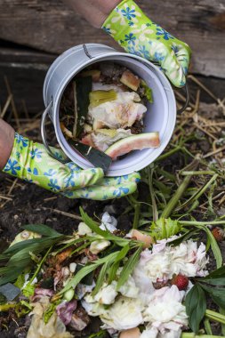 Kompost bin bir Bahçe