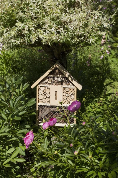 Huis van de insecten in de tuin — Stockfoto