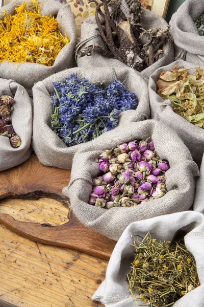 Healing medical herbs — Stock Photo, Image