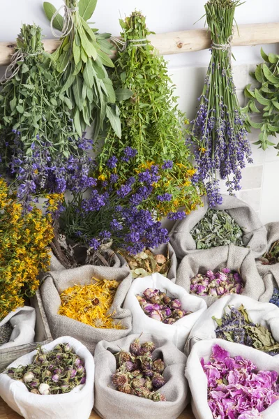 Healing medical herbs — Stock Photo, Image