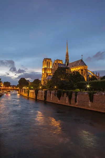 Cattedrale di Notre Dame — Foto Stock