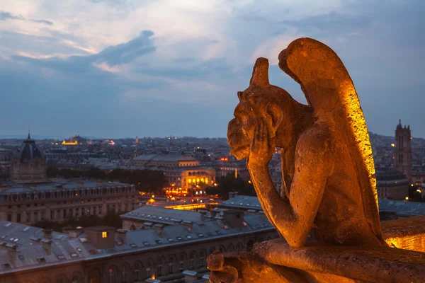 Catedral de Notre Dame — Foto de Stock