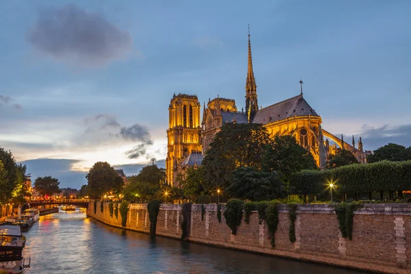 Kathedraal van Notre dame Rechtenvrije Stockfoto's