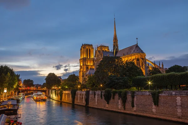 Catedral de Notre Dame Imágenes De Stock Sin Royalties Gratis