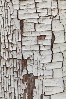 ahşap Komiteler kırık