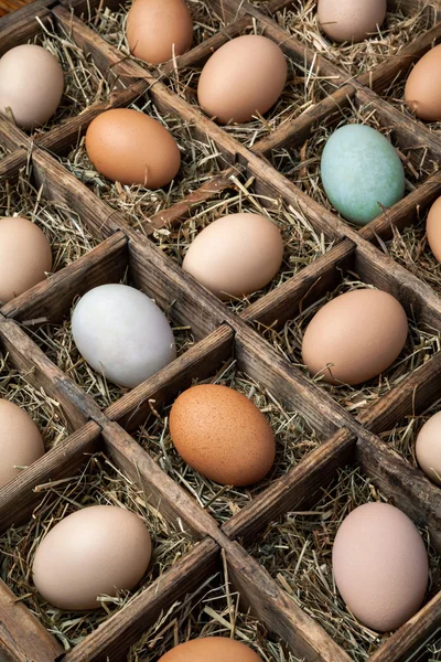 Friss bio tojást egy kosárban képe. — Stock Fotó