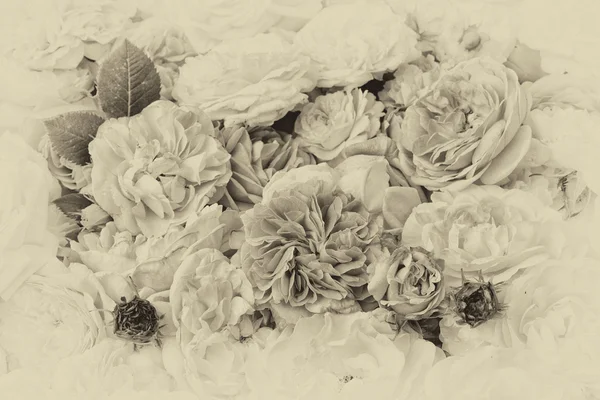 ดอกกุหลาบวินเทจ — ภาพถ่ายสต็อก