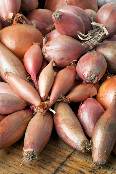 Zwiebeln — Stockfoto