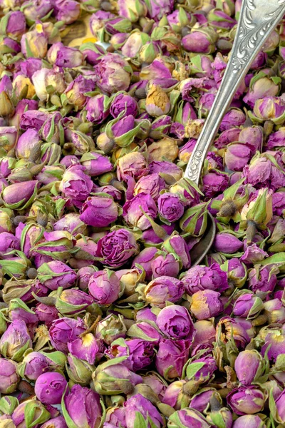 Rose boccioli di tè — Foto Stock