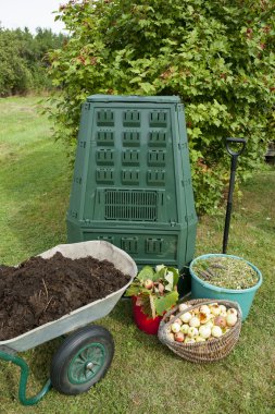 Bir sonbahar bahçesinde kompost.