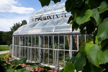 Berlin, Almanya - 4 Eylül 2025: Botanik Bahçesi: Zengin kaktüs, sulu bitkiler ve yemyeşil tropikal bitkilerle seralar sera.