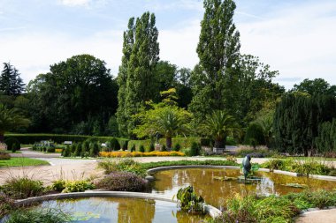 Berlin Botanik Bahçesi: Tarihi bir park ortamında zengin bir olgun ağaç koleksiyonu, çeşitli çalılar ve canlı bitkiler