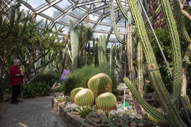 Berlin, Almanya - 4 Eylül 2025: Botanik Bahçesi Serası: Egzotik bitkiler arasında dinlenme ve manzaralı yürüyüşler için popüler bir yer.