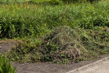 Yeşil arka bahçedeki yabani otlar ve bahçe atıkları yaz bittikten sonra....