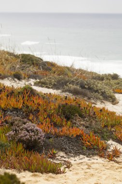 Dunes Portekiz