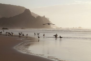Gün batımı izlenim. Portekiz'in kıyı şeridi.