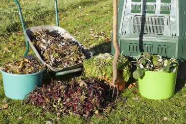 Composting in a autumn garden. clipart