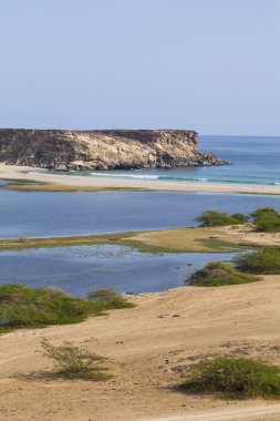 Doğa Umman