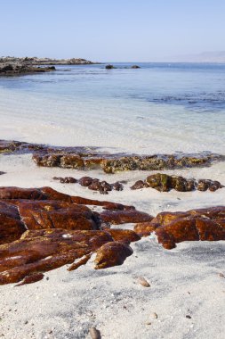 Hint Okyanusu kıyısında yakınındaki Mirbat, Dhofar, Oman.