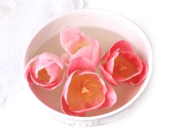 Bahar dekorasyon Lale seramik kase arka planda beyaz dantel