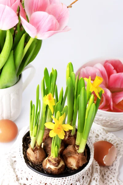 Lente narcissen decoratie delicate achtergrond selectief soft focus Sea... — Stockfoto