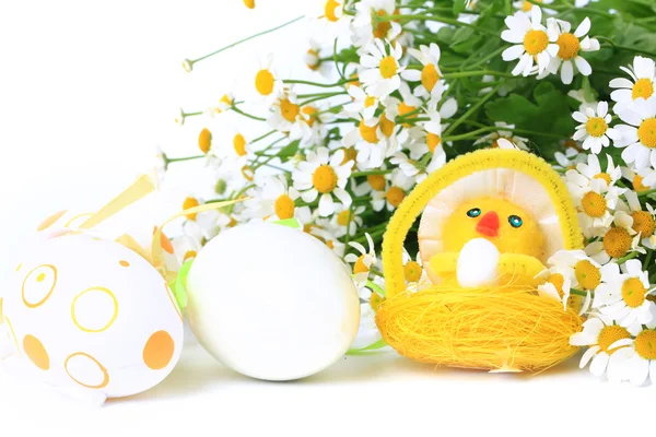 Пасхальное яйцо курица на весеннем фоне маргаритки — стоковое фото