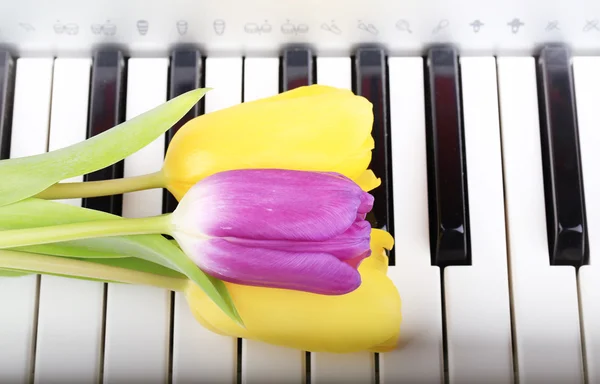 Pianotangenter tulpan blommor milda våren retro vintage stil musik bakgrund — Stockfoto