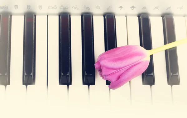 Pianotangenter tulpan blommor milda våren retro vintage stil musik bakgrund — Stockfoto