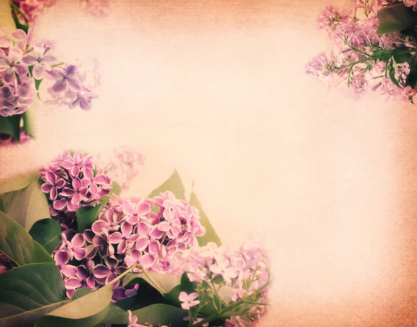 Fondo suave de primavera borrosa malva con una rama de color lila en — Foto de Stock