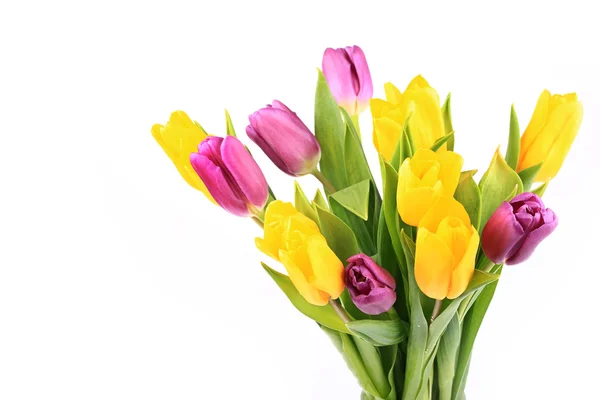 Bukiet tulipanów na białym tle na białym tle selektywne nieostrość zdjęcie stonowanych — Zdjęcie stockowe