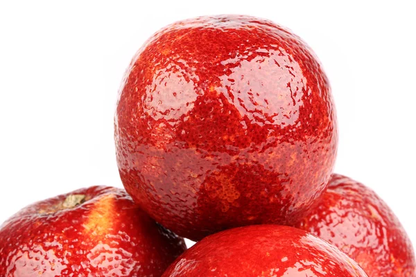 Naranjas rojas sangre aisladas sobre fondo blanco —  Fotos de Stock