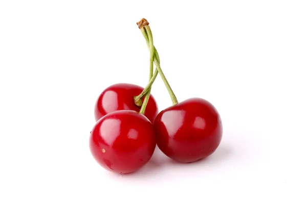 Cherry elszigetelt fehér alapon — Stock Fotó