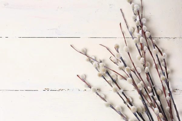 Salgueiro em um fundo de madeira vintage branco Composição da primavera Páscoa — Fotografia de Stock