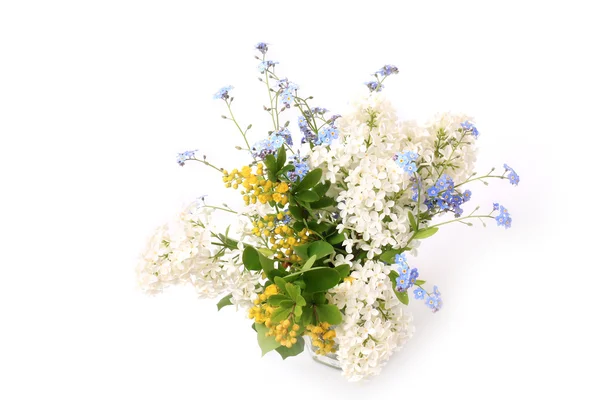 Sanfter Strauß Frühlingsblumen isoliert auf weißem Hintergrund Frühling Zusammensetzung — Stockfoto