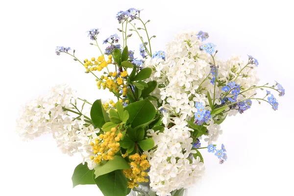 Bouquet suave de flores da primavera isolado no fundo branco composição da mola — Fotografia de Stock